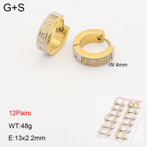 2E2007248akoa-387  Stainless Steel Earrings