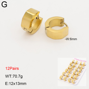 2E2007249akoa-387  Stainless Steel Earrings