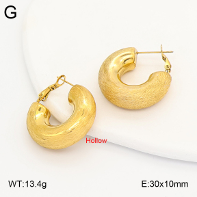 2E2007250vhmv-649  Stainless Steel Earrings