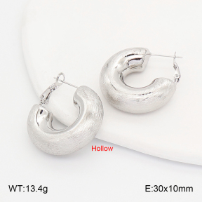 2E2007251ahjb-649  Stainless Steel Earrings