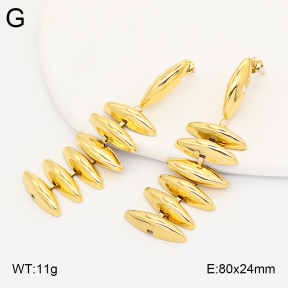 2E2007252ahlv-649  Stainless Steel Earrings