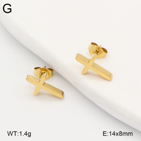 2E2007259ablb-749  Stainless Steel Earrings