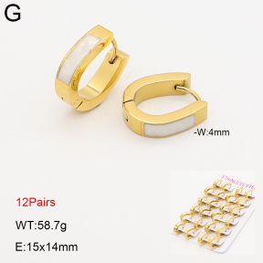2E3004147alka-387  Stainless Steel Earrings