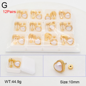 2E3004148aivb-312  Stainless Steel Earrings