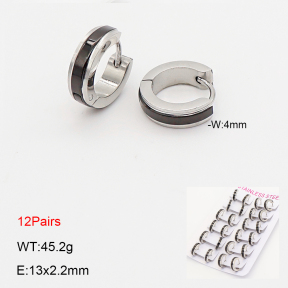 2E4005258alka-387  Stainless Steel Earrings