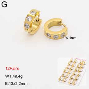 2E4005259bmmb-387  Stainless Steel Earrings