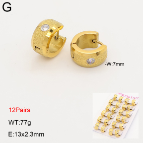 2E4005260amaa-387  Stainless Steel Earrings