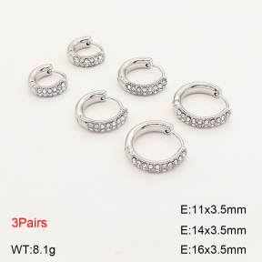 2E4005261vihb-649  Stainless Steel Earrings