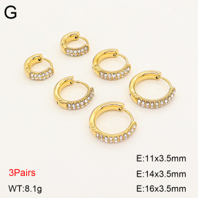 2E4005262bika-649  Stainless Steel Earrings