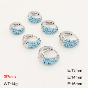 2E4005264bika-649  Stainless Steel Earrings