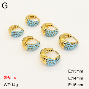 2E4005265vina-649  Stainless Steel Earrings