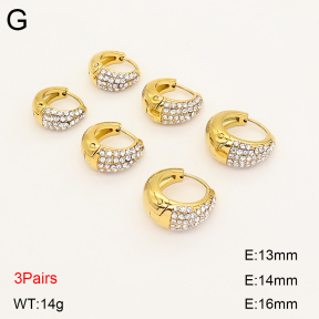 2E4005266vina-649  Stainless Steel Earrings
