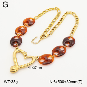 2N4005589aivb-656  Stainless Steel Necklace
