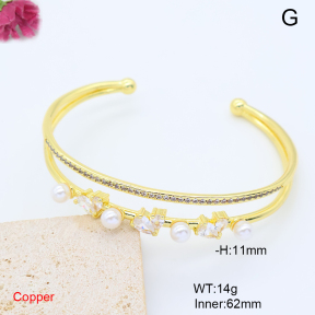 F6BA41711ahjb-L017  Fashion Copper Bangle