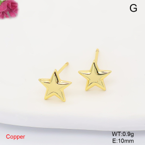 F6E200926aajl-L017  Fashion Copper Earrings