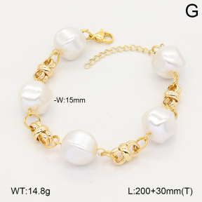 2B3004608bhva-377  Stainless Steel Bracelet