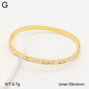 2BA402948bhia-377  Stainless Steel Bangle
