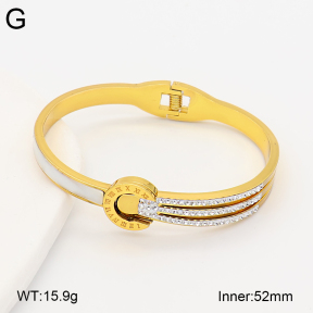 2BA402949bhia-377  Stainless Steel Bangle