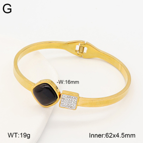 2BA402950bhva-377  Stainless Steel Bangle