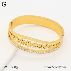 2BA402954bhia-377  Stainless Steel Bangle