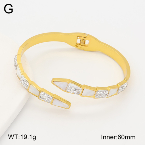 2BA402955bhia-377  Stainless Steel Bangle