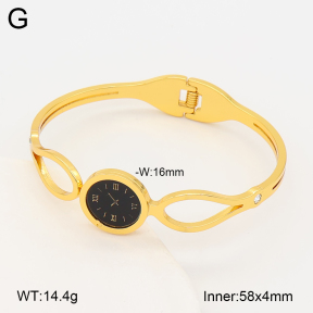 2BA402956bhva-377  Stainless Steel Bangle