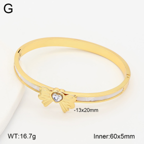 2BA402957bhia-377  Stainless Steel Bangle