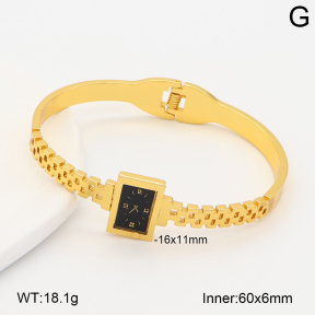 2BA402969bhva-377  Stainless Steel Bangle
