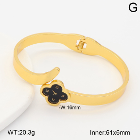 2BA402970bhva-377  Stainless Steel Bangle