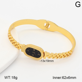 2BA402971bhva-377  Stainless Steel Bangle