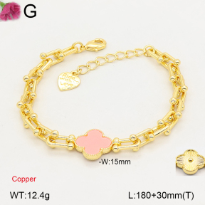 F2B402838vbpb-J22  Fashion Copper Bracelet