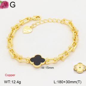 F2B402839vbpb-J22  Fashion Copper Bracelet