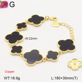 F2B402845bhia-J22  Fashion Copper Bracelet