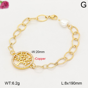 F2B402847bhva-J39  Fashion Copper Bracelet