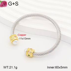 F2BA30182vhha-J198  Fashion Copper Bangle