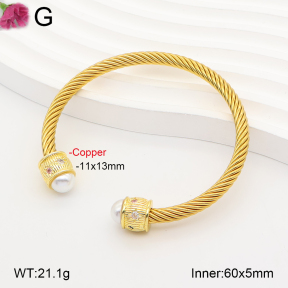 F2BA30183ahjb-J198  Fashion Copper Bangle
