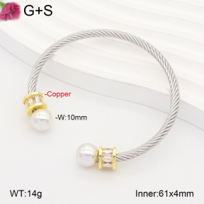 F2BA30185bhva-J198  Fashion Copper Bangle