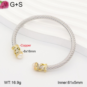 F2BA30186vhha-J198  Fashion Copper Bangle