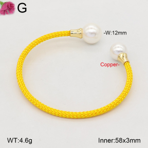 F2BA30188vbpb-J198  Fashion Copper Bangle