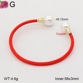 F2BA30191vbpb-J198  Fashion Copper Bangle