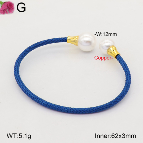 F2BA30192vbpb-J198  Fashion Copper Bangle