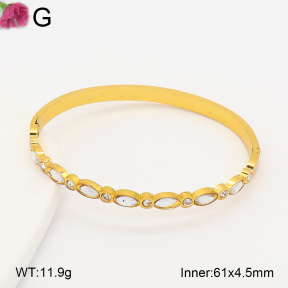 F2BA41066bhva-J39  Fashion Bangle