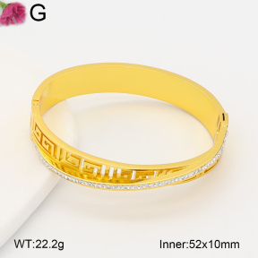 F2BA41067bhia-J39  Fashion Bangle
