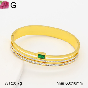 F2BA41068bhia-J39  Fashion Bangle