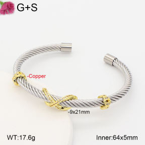 F2BA41073bhia-J198  Fashion Copper Bangle