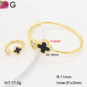 F2S007197vhnv-J22  Fashion Copper Sets