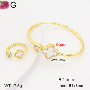 F2S007203vhnv-J22  Fashion Copper Sets