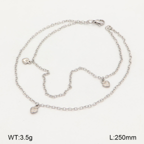 2A9001963ablb-226  Stainless Steel Anklets