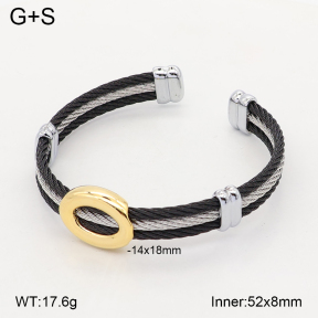 2BA202802ahlv-349  Stainless Steel Bangle