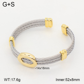2BA202803ahlv-349  Stainless Steel Bangle